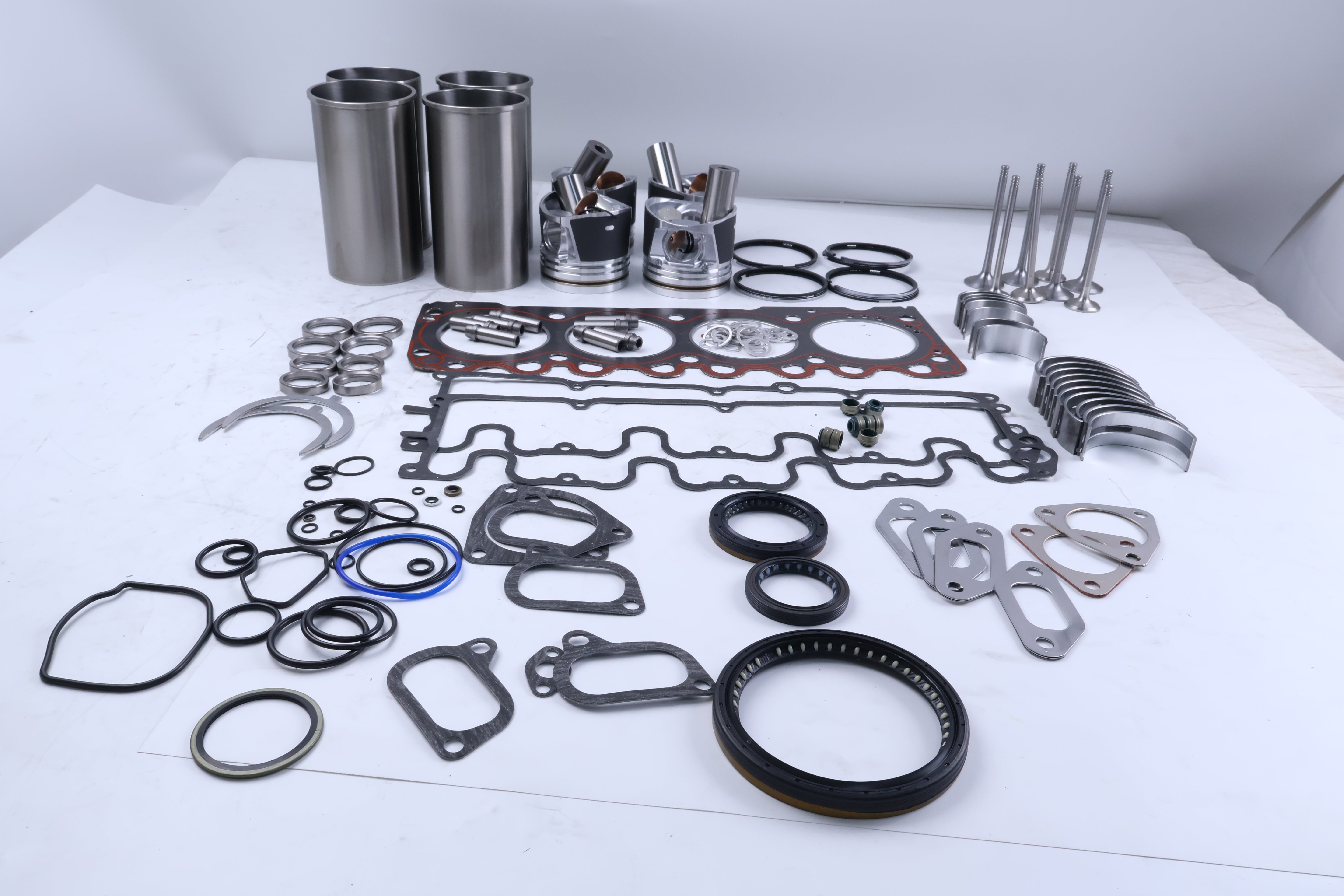 Aftermarket Overhaul Rebuild Kit for BF4M1011/BF4M1011F