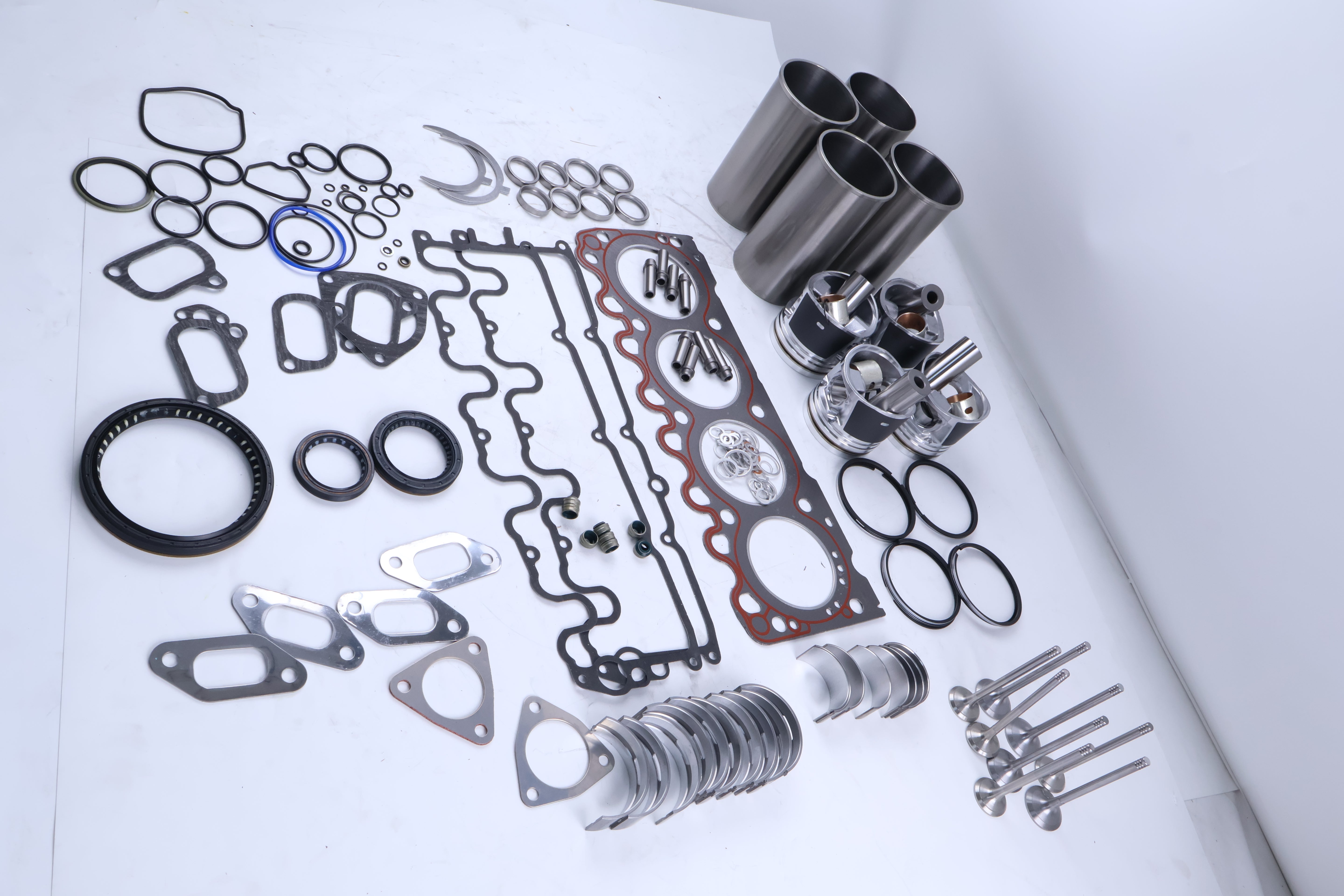 Aftermarket Overhaul Rebuild Kit for BF4M1011/BF4M1011F