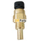 Water temperature sensor RE48419